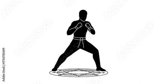 Dynamic silhouette of a martial artist in fighting stance ready for combat demonstrating strength agility and discipline isolated on white background