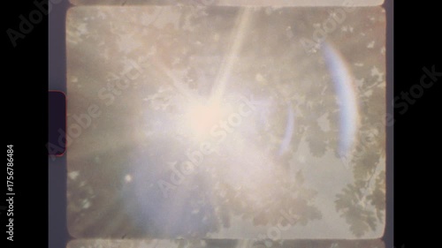 Zooming to sunlight flares through dense summer tree foliage captured with a vintage analog 8mm film look