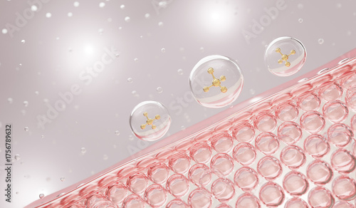 Photos 3D cross-section of skin layers showing serum absorption and collagen cell structure