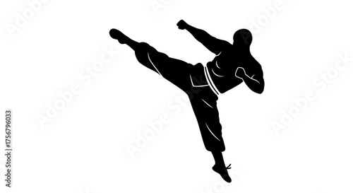 Dynamic martial arts silhouette demonstrating powerful side kick in action dynamic martial arts silhouette performing intense side kick movement isolated on white background