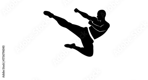 Martial artist performing dynamic high kick silhouette powerful combat sport action dynamic movement athleticism isolated on white background