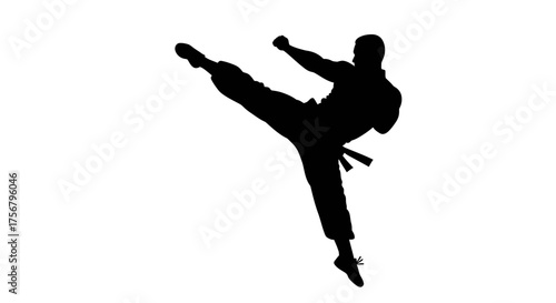 Dynamic silhouette of martial artist executing a high flying kick demonstrating strength agility and combat skill isolated on white background