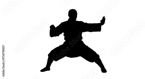 Dynamic silhouette of a martial artist performing a powerful karate stance ready for combat and training exercises isolated on white background