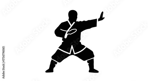 Martial arts master demonstrates kung fu stance silhouette dynamic action pose warrior monk fighting spirit powerful movement training discipline isolated on white background