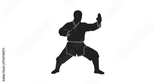 Martial arts silhouette of a karate fighter in a dynamic stance ready for combat or training in a studio setting isolated on white background