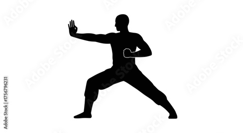 Martial arts silhouette of a fighter performing a kung fu stance with intense focus and dynamic movement depicting strength and discipline isolated on white background