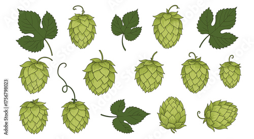Collection of green hop cones and leaves with a dotted texture.