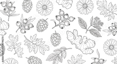 Collection of hand drawn botanical illustrations of berries and leaves.