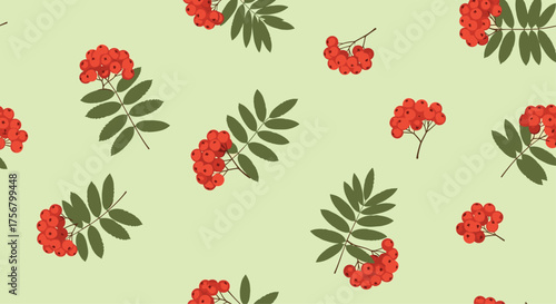 A light green background with scattered clusters of red rowan berries and green leaves.