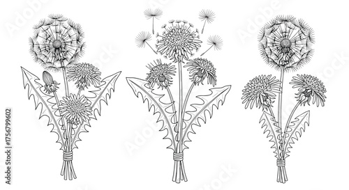 Artistic depiction of a stylized floral arrangement with intricate details in black and white.
