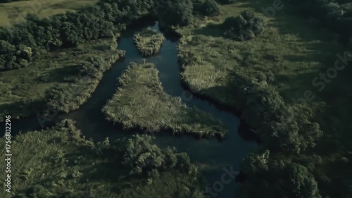 An aerial view of a marshland, featuring winding water channels among grassy islands
