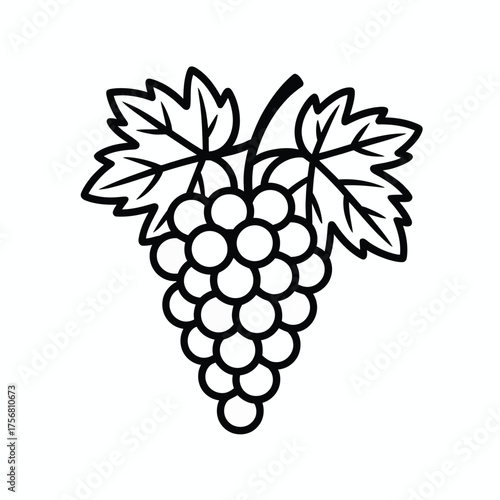 Simple black and white line drawing of a bunch of grapes with leaves