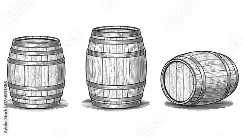 Set of Three Vintage Engraved Wooden Barrels - Wine, Beer, or Whiskey Cask Illustration