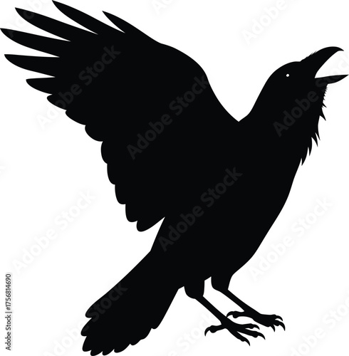 Silhouette of a raven in flight with open beak and spread wings isolated on transparent background Vector