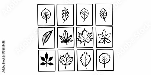 Vector compilation of twelve different leaf sketches inside squares arranged in a grid pattern on white background