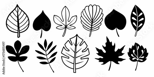 Vector illustration of ten stylized leaves with varying shapes and patterns in black and white in a row format
