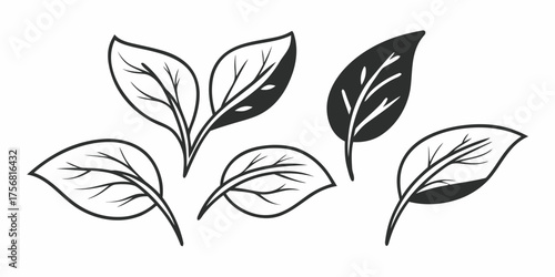 Vector illustration of a set of five stylized leaves with detailed veins and varied shading techniques used