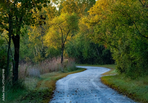 738-56 Blue Gold Pathway