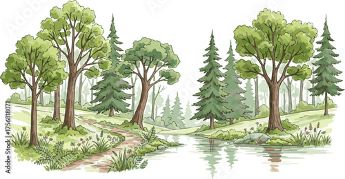 Create a kinds of deferent Green landscape with path in forest, watercolor panoramic template for your design wallpapers, background or cover. Hand drawn horizontal vector art with white background..