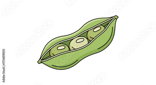 Illustration of a green pea pod with three peas inside on a white background