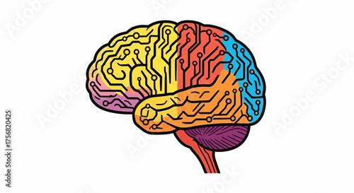 Colorful brain illustration representing neural connections and cognitive functions