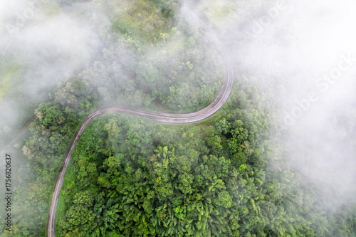 Landscape of Morning Mist with Mountain Layer. mountain ridge and clouds in rural jungle bush forest