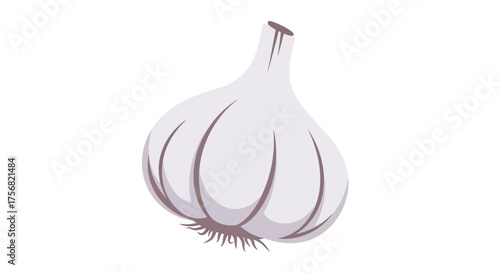 Stylized Garlic Bulb Illustration on White Background for Culinary Design Projects