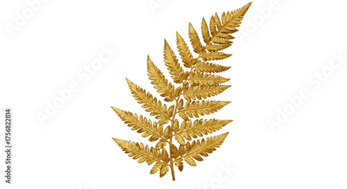 Golden Fern Leaf Isolated on White Background 2.
