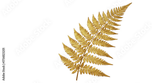 Golden Fern Leaf Isolated on White Background 6.
