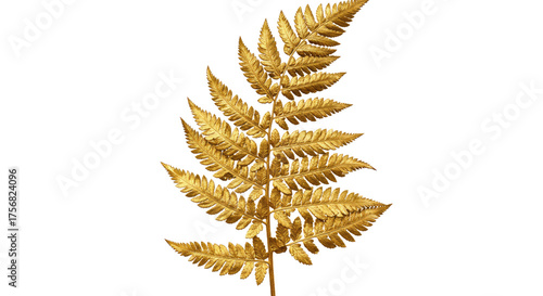 Golden Fern Leaf Isolated on White Background Autumn Season.