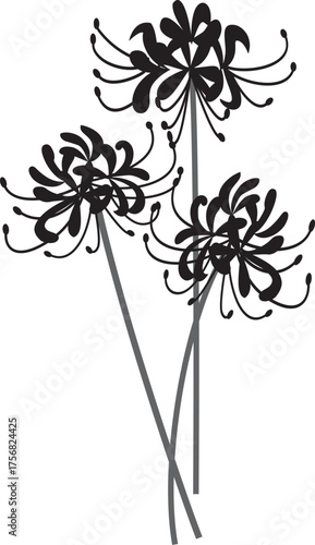 シンプルなお彼岸の彼岸花	