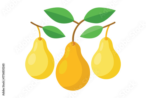 Vector art of three yellow pears on a branch