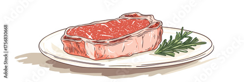 Fresh raw rib eye steak with sprig of rosemary on white plate hand drawn vector illustration for gourmet meat dish concept in minimalist style
