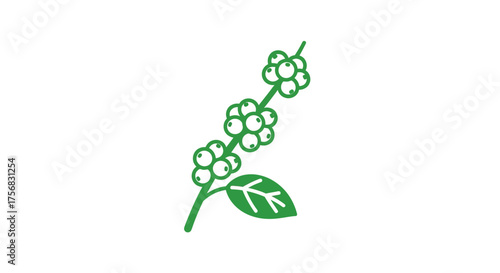 A simple green line art icon of a coffee plant branch with unripe cherries and a single leaf on a white background.