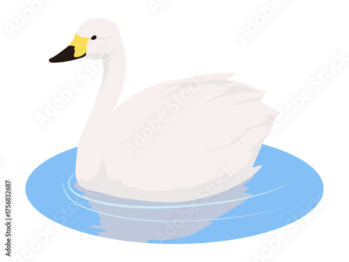水に浮かぶ白鳥のイラスト