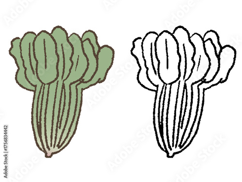 手描きのほうれん草