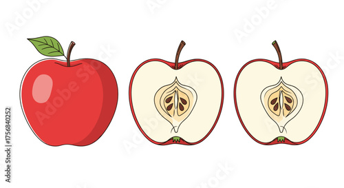 Fresh red apple sliced in half showing its core seeds and texture.