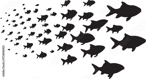 Black fish silhouettes swimming in a school of fish