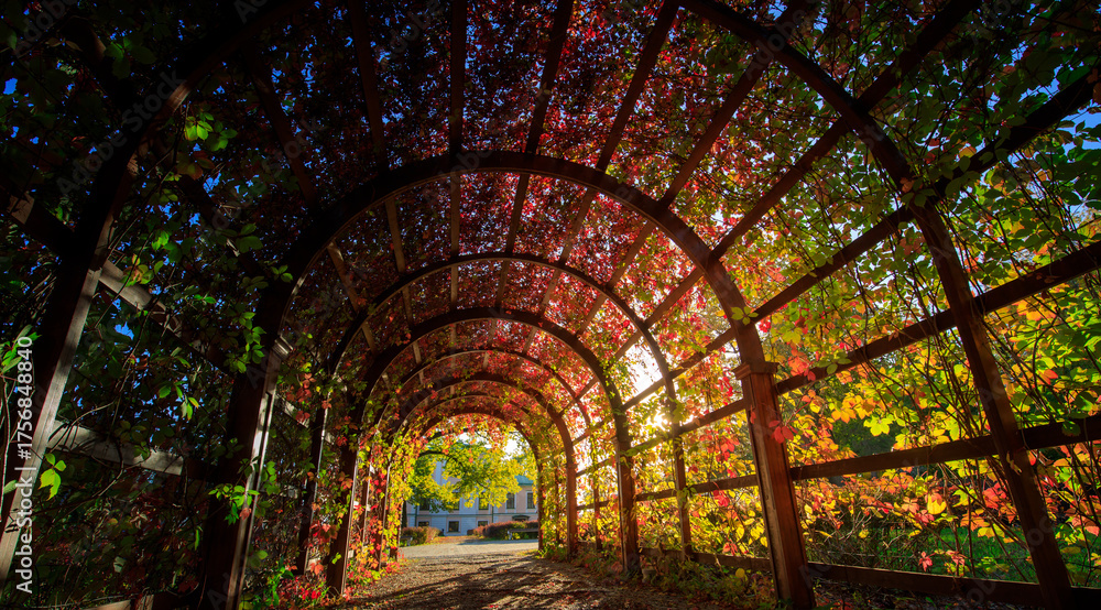 Fototapeta premium Large archway with vines and leaves is shown in the image