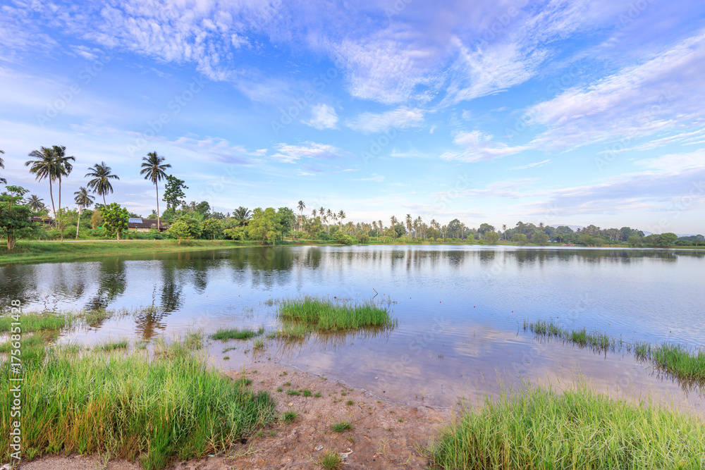Obraz premium Beautiful lake with palm trees in the background