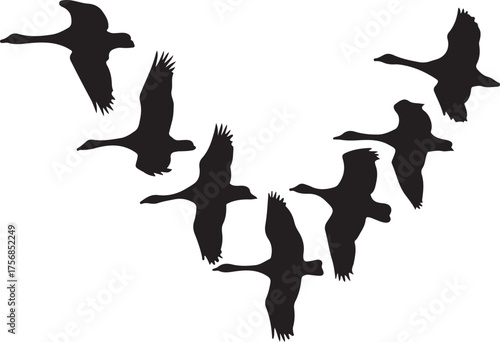 Black silhouettes of geese flying in V formation birds