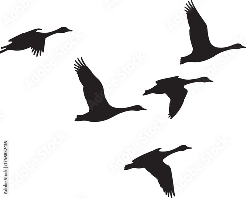 Five black goose silhouettes flying in formation geese