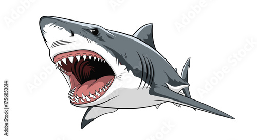 A powerful predator of the ocean swims with its mouth open showing sharp teeth and gills.