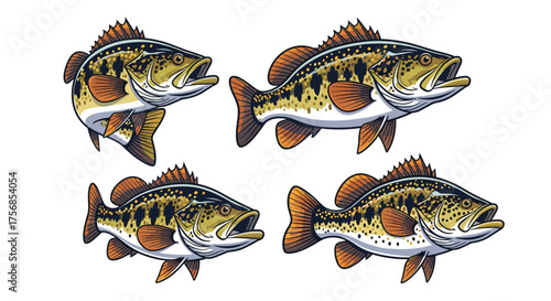 Four distinct illustrations of a largemouth bass fish in various poses and angles.