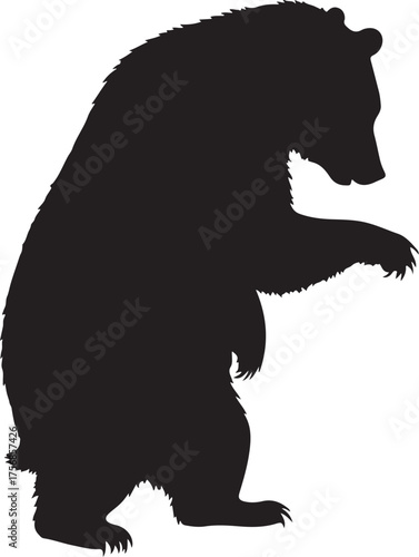 Black silhouette of a bear standing on hind legs animal