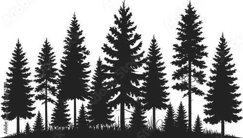 Black and white forest silhouette illustration featuring tall pine trees and natural woodland landscape in minimal evergreen nature vector design