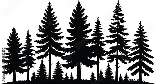 Black and white forest silhouette illustration featuring tall pine trees and natural woodland landscape in minimal evergreen nature vector design
