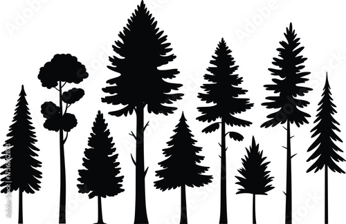 Black and white forest tree silhouette illustration featuring various pine and evergreen species in minimalist natural woodland vector design