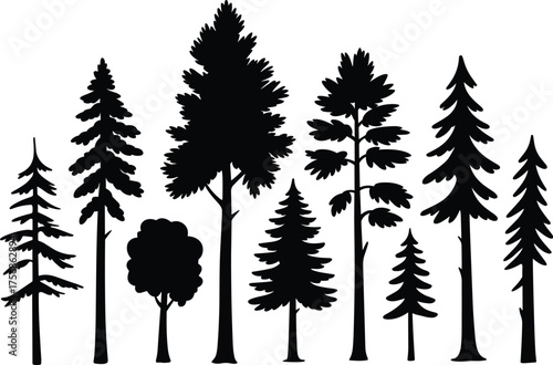 Black and white forest tree silhouette illustration featuring various pine and evergreen species in minimalist natural woodland vector design