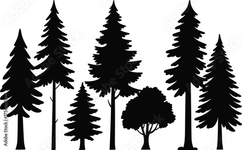 Black and white forest tree silhouette illustration featuring various pine and evergreen species in minimalist natural woodland vector design